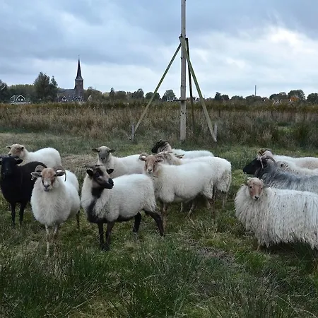Nature Lovers Your Own Island * Wijdewormer