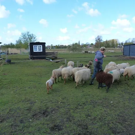Daire Nature Lovers Your Own Island Wijdewormer