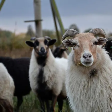 Nature Lovers Your Own Island