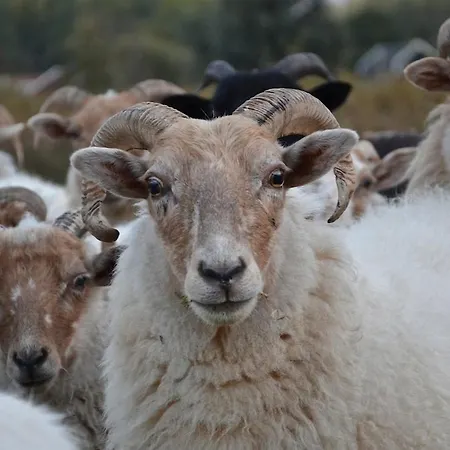 Nature Lovers Your Own Island Daire Wijdewormer