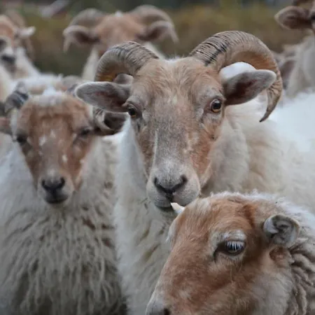 Nature Lovers Your Own Island