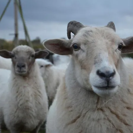 Nature Lovers Your Own Island Wijdewormer