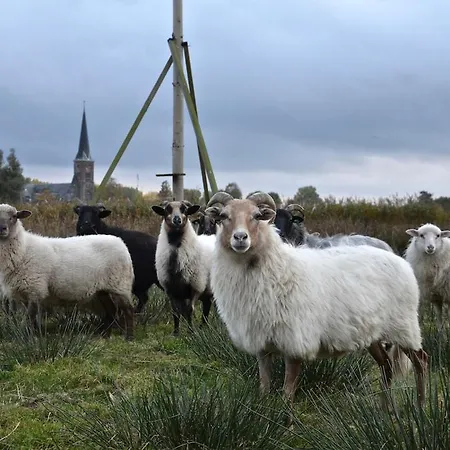 Nature Lovers Your Own Island *