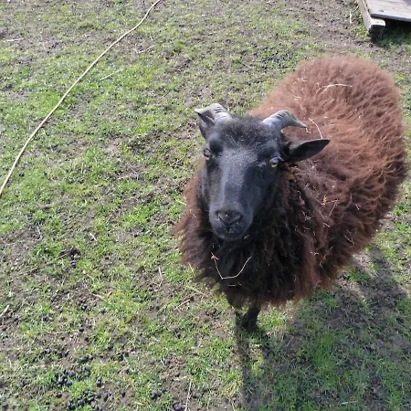 Nature Lovers Your Own Island Daire *